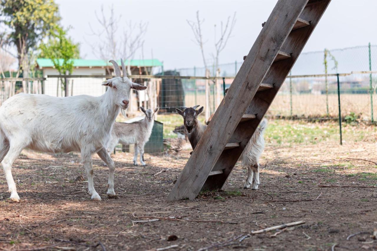 مبيت وإفطار Pombia Cascina Cattabreghetta المظهر الخارجي الصورة